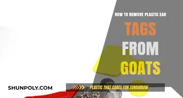 Safe and Easy Methods to Remove Plastic Ear Tags from Goats