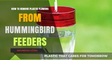 Effective Tips to Safely Remove Plastic Flowers from Hummingbird Feeders