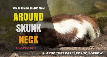 Safely Removing Plastic from a Skunk's Neck: A Step-by-Step Guide