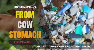 Effective Methods to Safely Remove Plastic from a Cow's Stomach