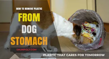 Emergency Guide: Safely Removing Plastic from Your Dog's Stomach