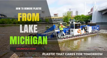 Cleaning Lake Michigan: Effective Strategies to Remove Plastic Pollution