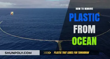 Effective Strategies to Remove Plastic Pollution from Our Oceans