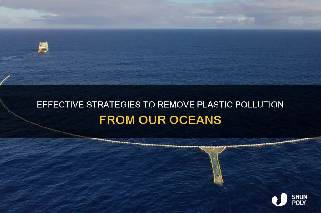 how to remove plastic from ocean