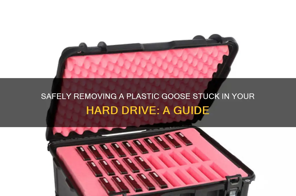 how to remove plastic goose from hard drive