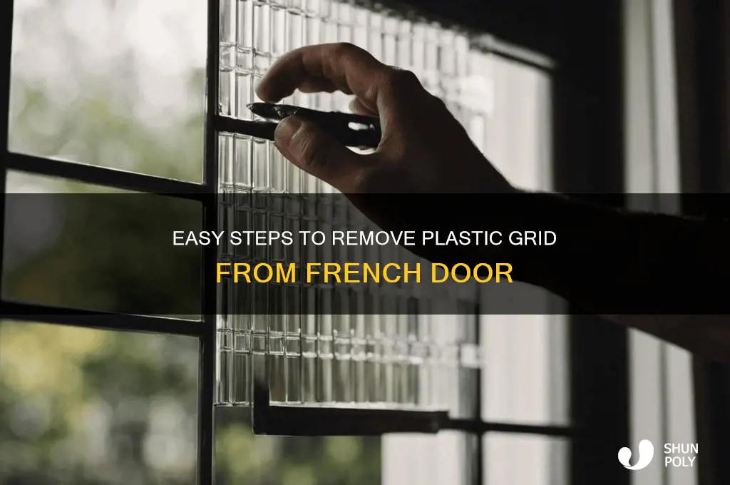 how to remove plastic grid from french door