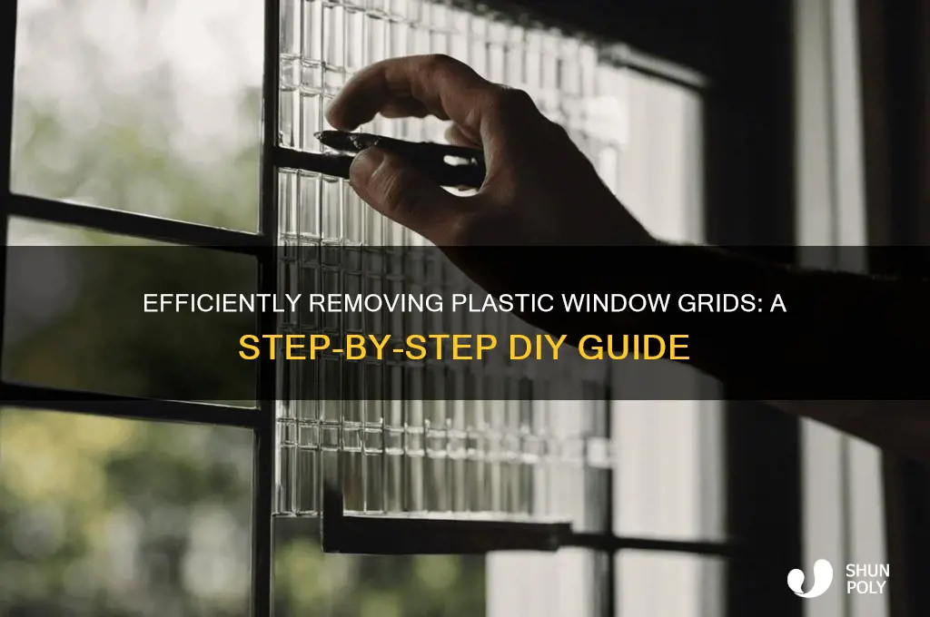 how to remove plastic grids from windows