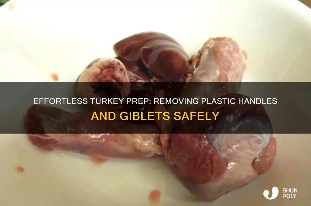 how to remove plastic handle and giblets from turkey