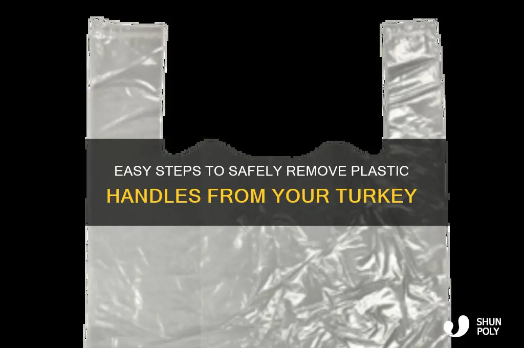 how to remove plastic handle from turkey