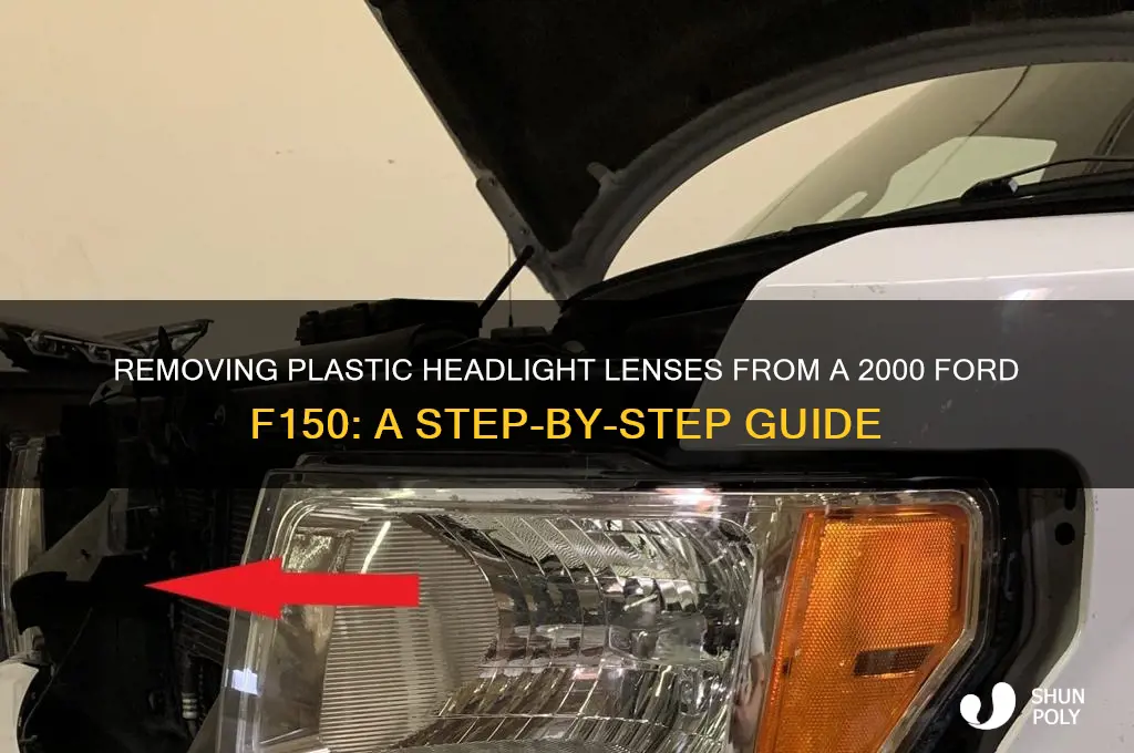 how to remove plastic head lightlenses from 2000 f150