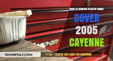 Removing Plastic Hinge Cover on a 2005 Porsche Cayenne: DIY Guide