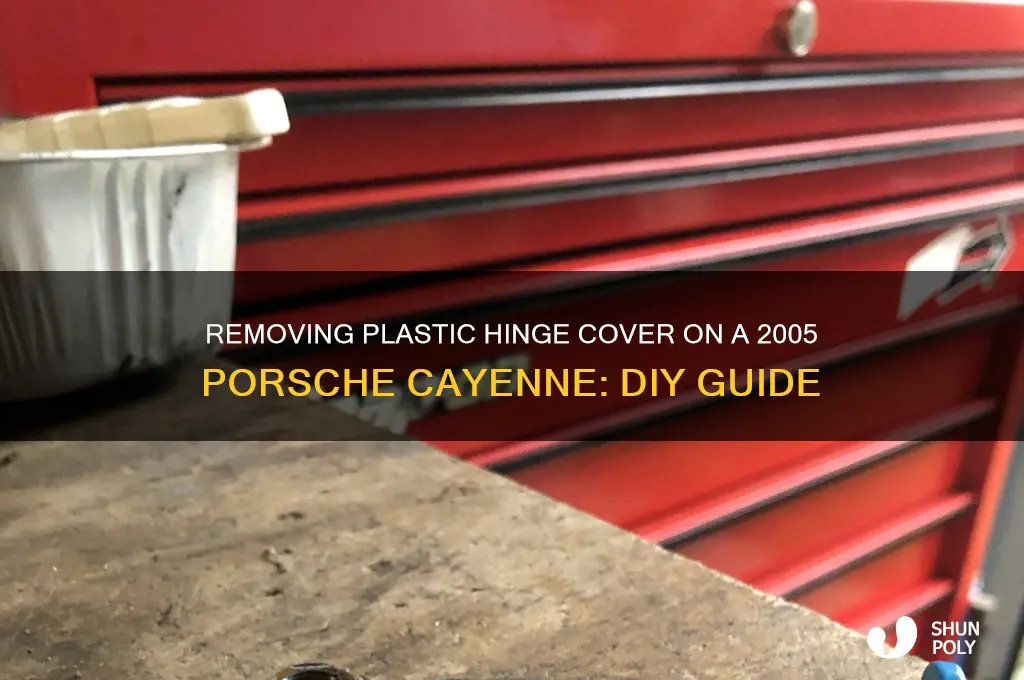 how to remove plastic hinge cover 2005 cayenne
