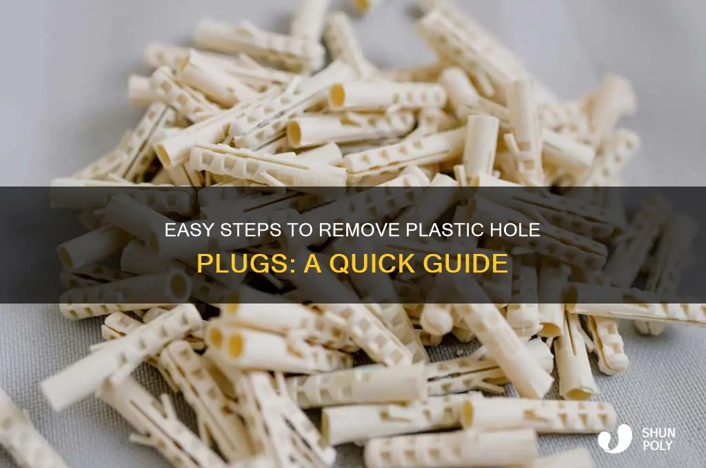 how to remove plastic hole plugs