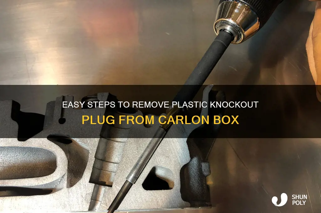 how to remove plastic knockout plug from carlon box