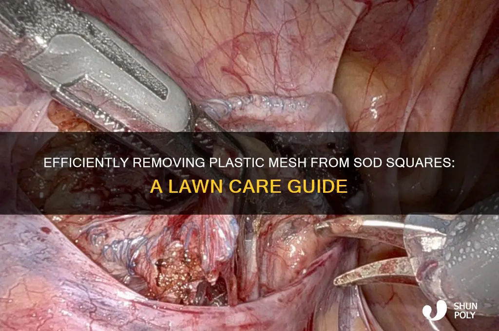 how to remove plastic mesh from sod squaresin lawn