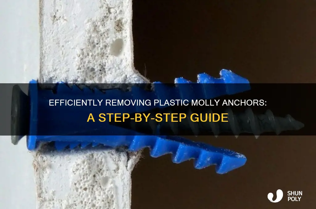 how to remove plastic molly anchors