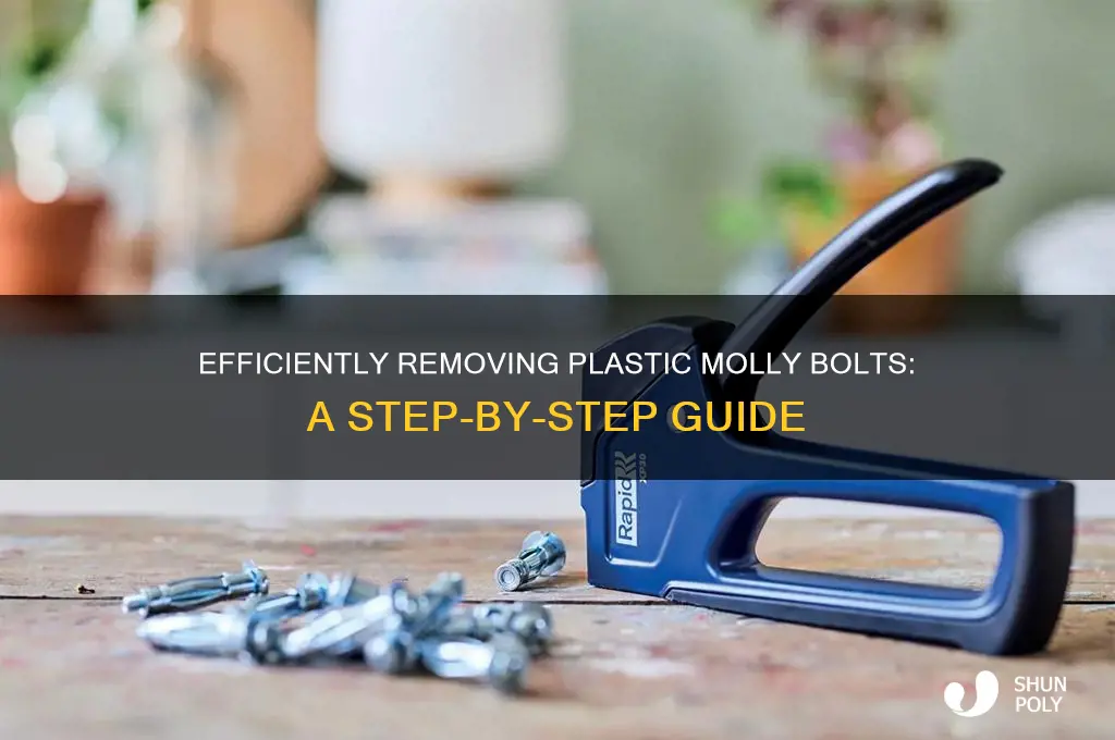 how to remove plastic molly bolts