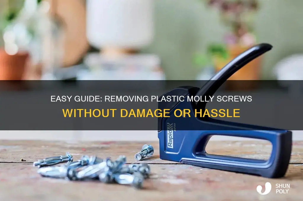 how to remove plastic molly screws