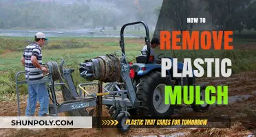 Effective Techniques for Removing Plastic Mulch from Your Garden