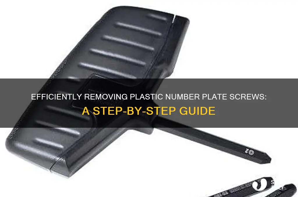 how to remove plastic number plate screws