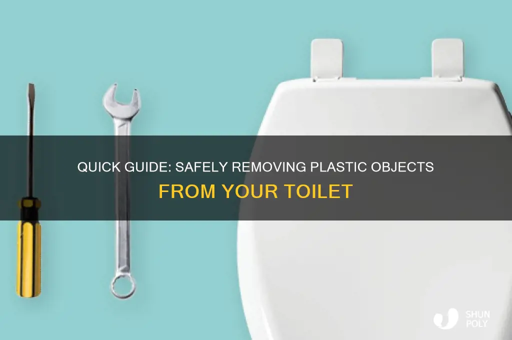 how to remove plastic object from toilet