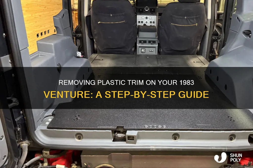 how to remove plastic on 83 venture