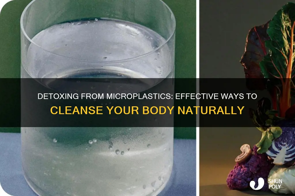 how to remove plastic particles from your body