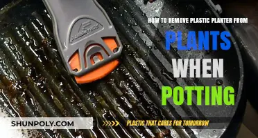 Easy Steps to Safely Remove Plastic Planters During Repotting