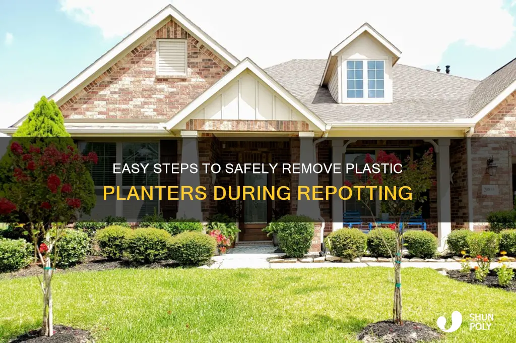 how to remove plastic planter from plants when potting