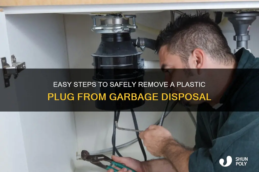 how to remove plastic plug from garbage disposal