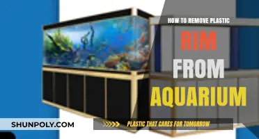 Easy Steps to Safely Remove Plastic Rim from Your Aquarium