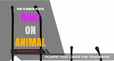 Quick Guide: Safely Removing Plastic Rings from Animals