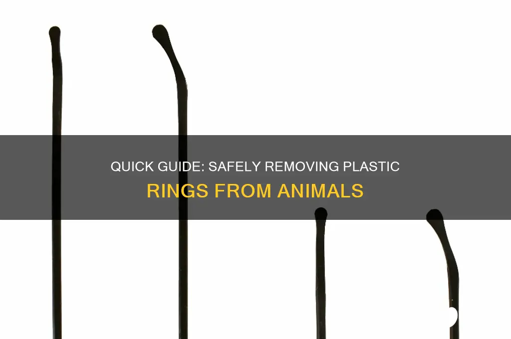 how to remove plastic ring on animal