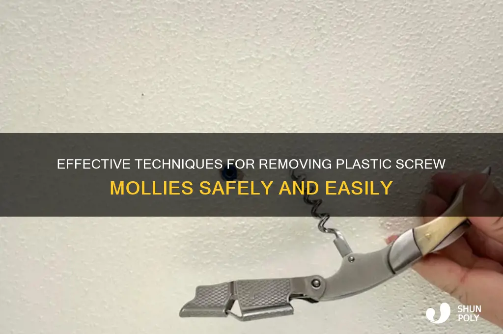 how to remove plastic screw mollies