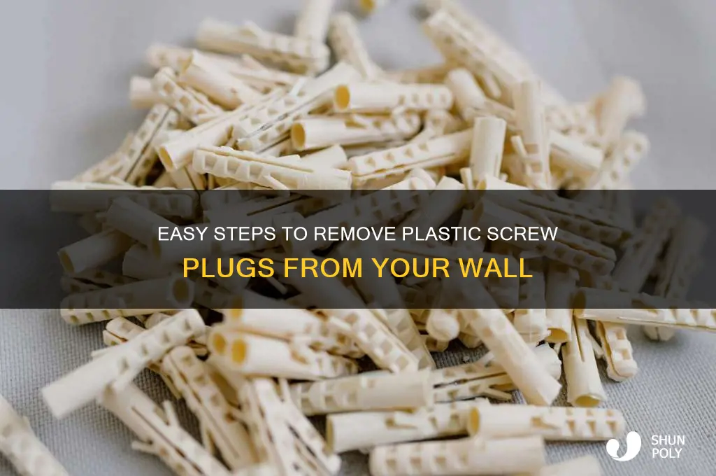 how to remove plastic screw plugs from wall