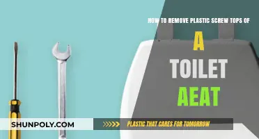 Easy Steps to Remove Plastic Toilet Seat Screw Tops