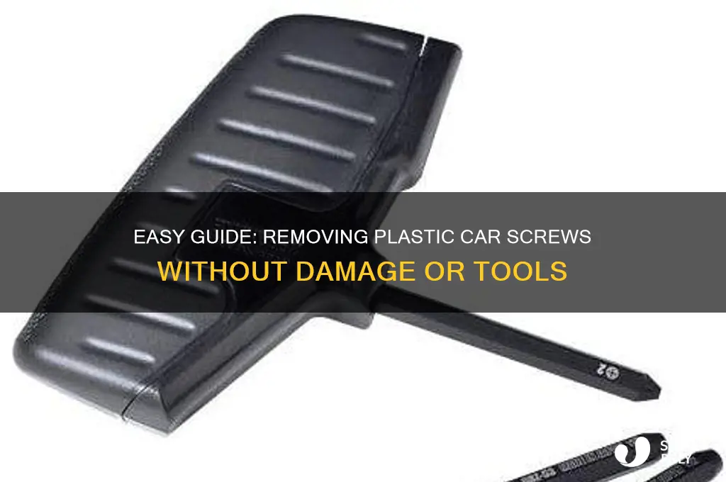how to remove plastic screws car