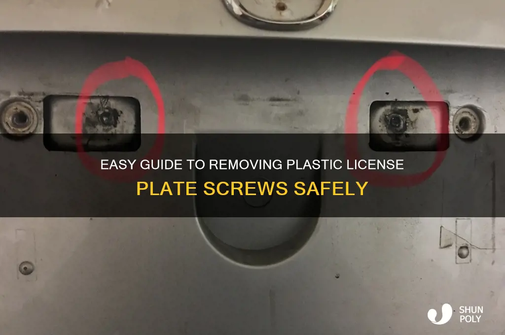 how to remove plastic screws license plate