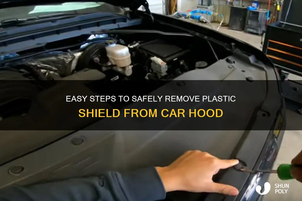 how to remove plastic shield from car hood