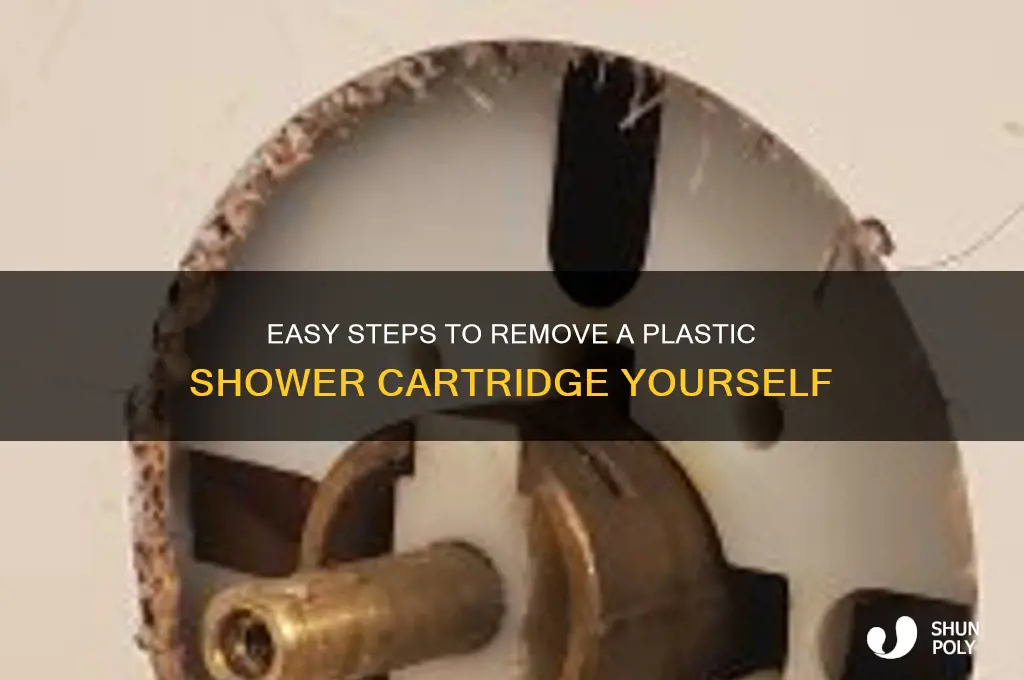 how to remove plastic shower cartridge