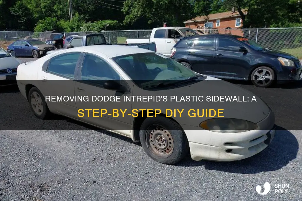 how to remove plastic sidewall on dodge intrepid