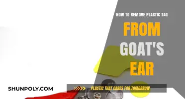 Safely Removing Plastic Ear Tags from Goats: A Step-by-Step Guide