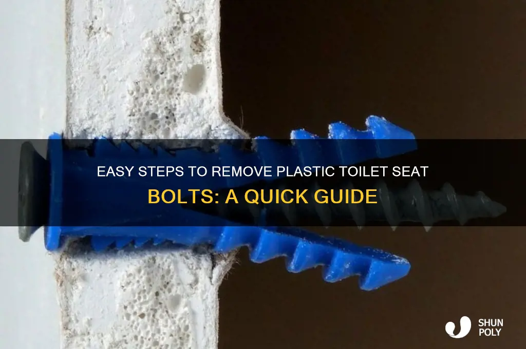 how to remove plastic toilet seat bolts