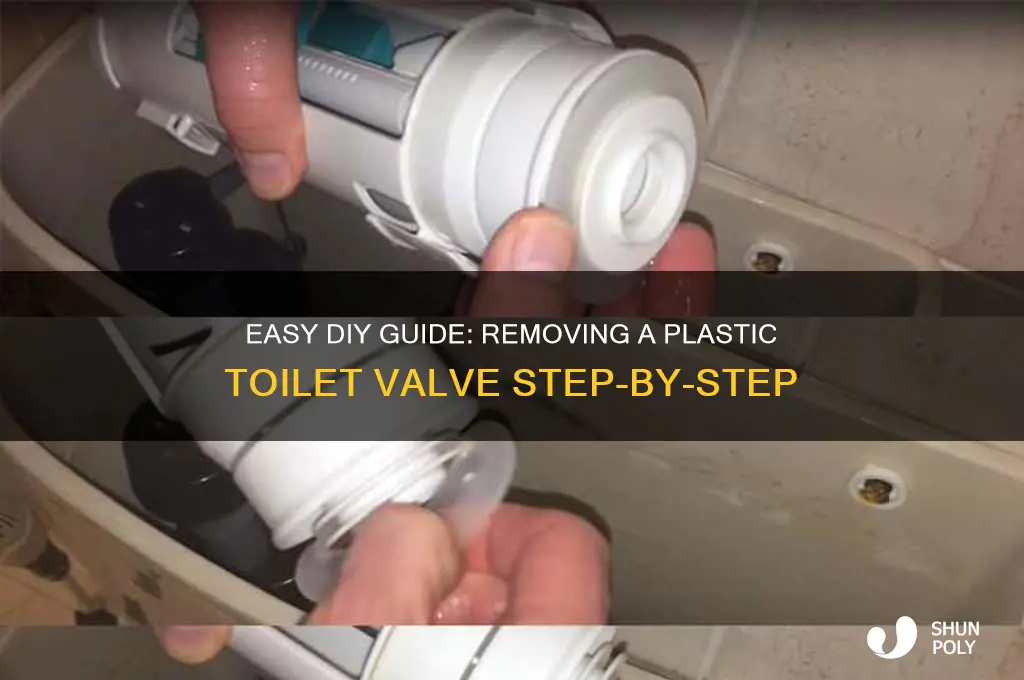 how to remove plastic toilet valve