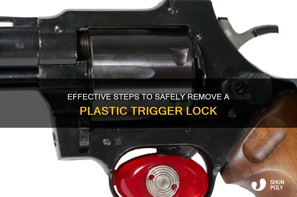 how to remove plastic trigger lock