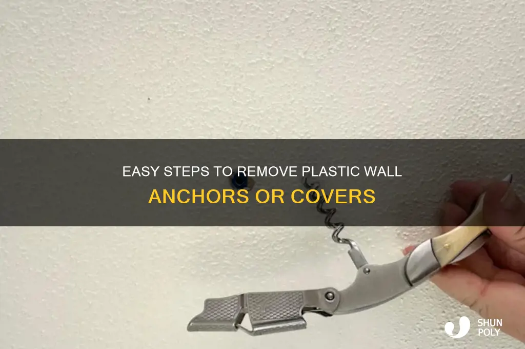 how to remove plastic wall anchor or cover