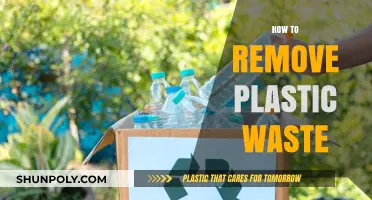Effective Strategies to Eliminate Plastic Waste and Protect Our Planet