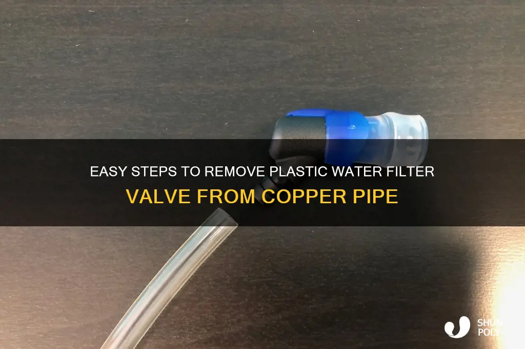 how to remove plastic water filter valve from copper pipe