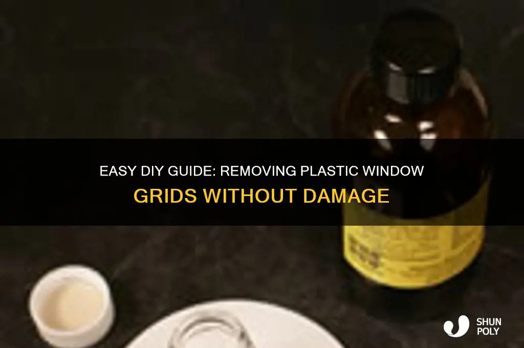 how to remove plastic window grids