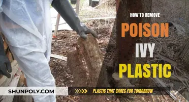 Effective Ways to Safely Remove Poison Ivy from Plastic Surfaces